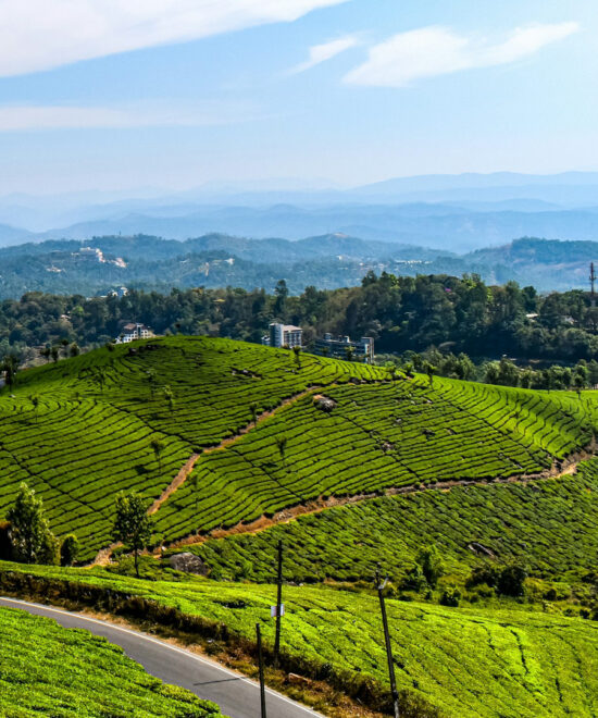 2 Nights / 3 Days: Cochin – Munnar – Thekkady – Alleppey (Hill Station, Wildlife & Backwaters)