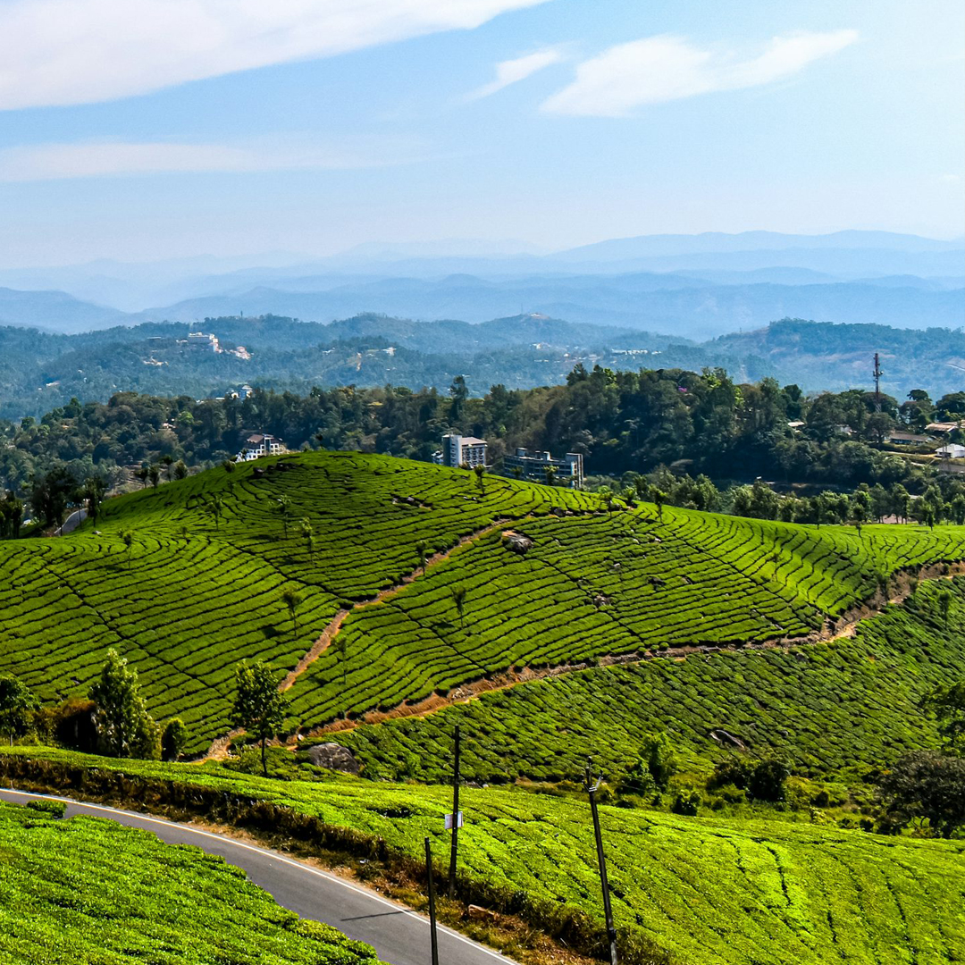 2 Nights / 3 Days: Cochin – Munnar – Thekkady – Alleppey (Hill Station, Wildlife & Backwaters)