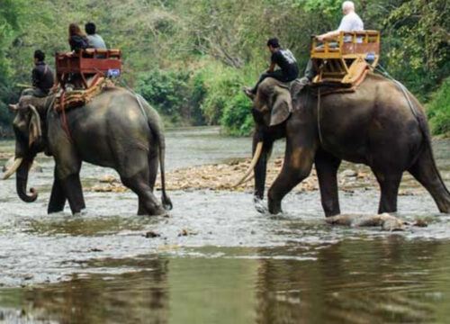 2 Nights / 3 Days : Cochin – Munnar – Thekkady (Hill Station & Wildlife Safari)