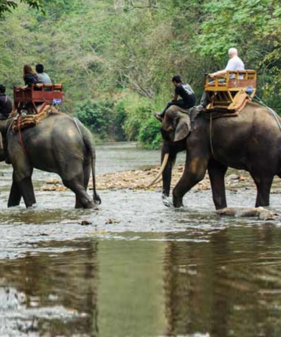 2 Nights / 3 Days : Cochin – Munnar – Thekkady (Hill Station & Wildlife Safari)
