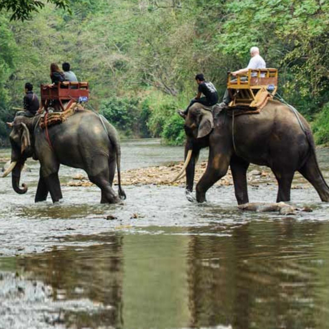 2 Nights / 3 Days : Cochin – Munnar – Thekkady (Hill Station & Wildlife Safari)