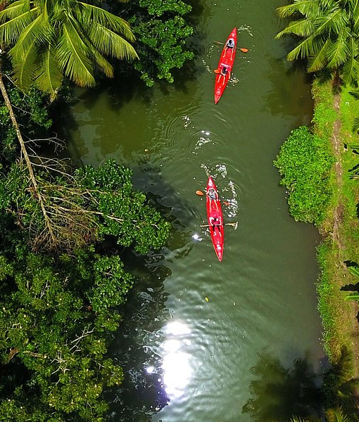 in Alleppey/Kumarakom
