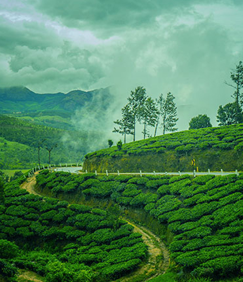 Munnar