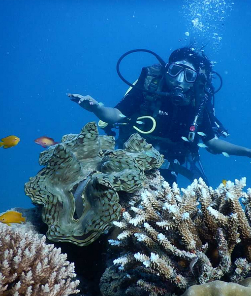 in Kovalam