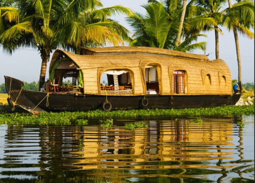 5 Nights / 6 Days: Cochin – Alleppey – Vagamon (Backwaters & Hill Station Combo)