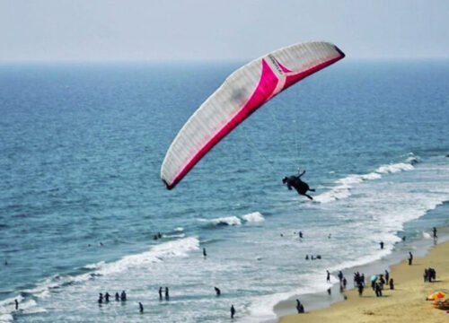 5 Nights / 6 Days: Cochin – Thattekad – Alleppey – Varkala (Birdwatching, Backwaters & Beach Stay)