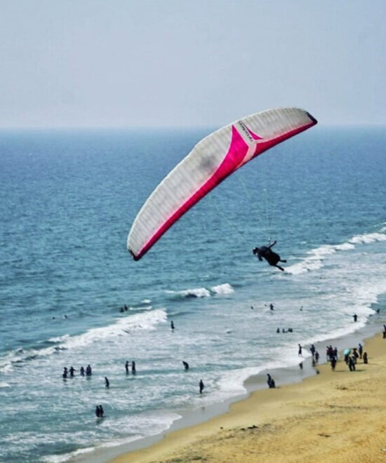 5 Nights / 6 Days: Cochin – Thattekad – Alleppey – Varkala (Birdwatching, Backwaters & Beach Stay)