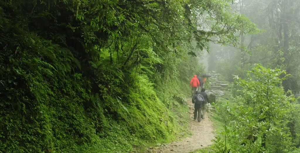 Wayanad – Kerala’s Green Paradise