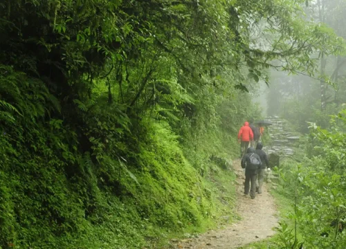 Wayanad – Kerala’s Green Paradise