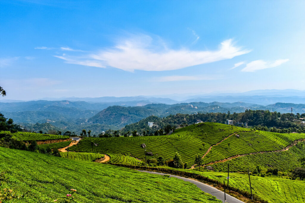 Munnar – a beautiful hill station in Kerala