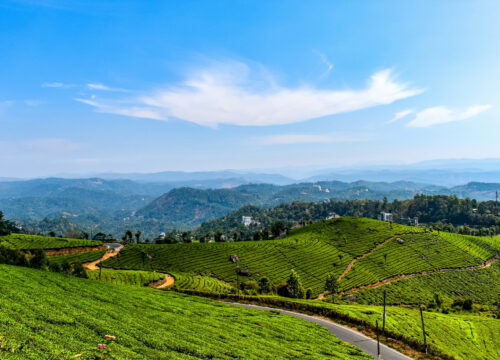 Munnar – a beautiful hill station in Kerala