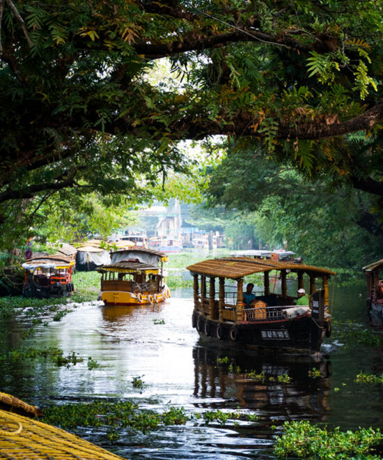 3 Nights / 4 Days: Cochin – Munnar – Thekkady – Alleppey (Hill Station, Wildlife & Backwaters)