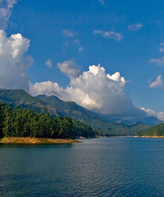 4 Nights / 5 Days: Cochin – Munnar – Thekkady – Alleppey (Hill Station, Wildlife & Backwaters)