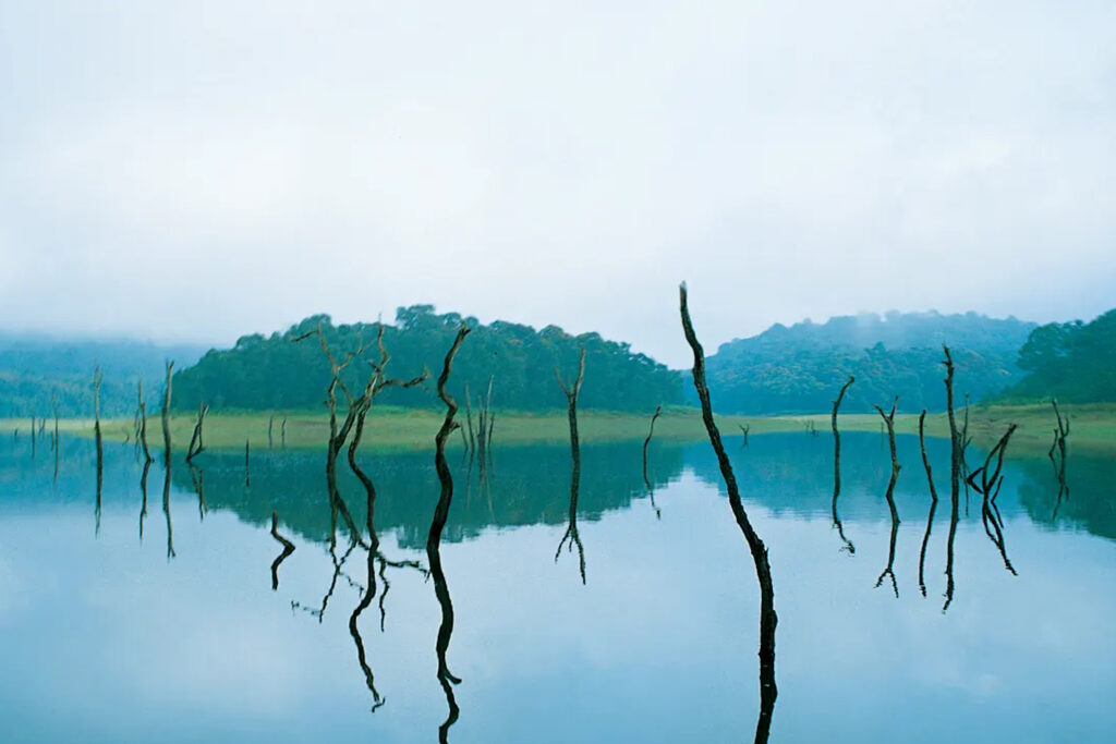 Thekkady – Nature Lover’s Dream Destination