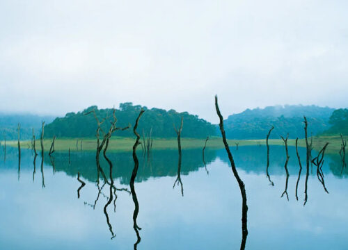 Thekkady – Nature Lover’s Dream Destination